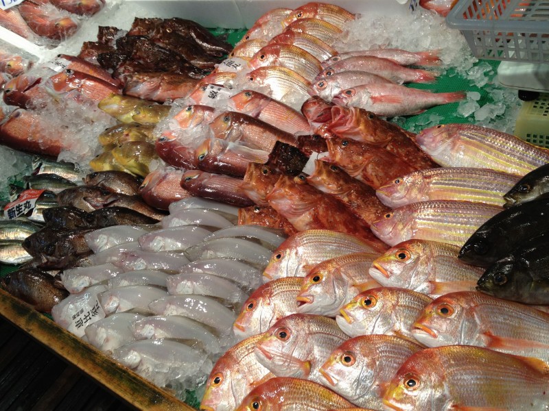 鮮魚の生食と腸炎ビブリオ食中毒